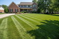 Professional Lawn Care Services
